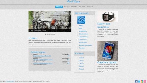 HTML5  ParkZone  DLE 10.1 (multiscreen)