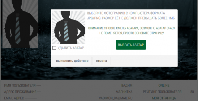 Шаблон профиля пользователя Шаблон профиля пользователя